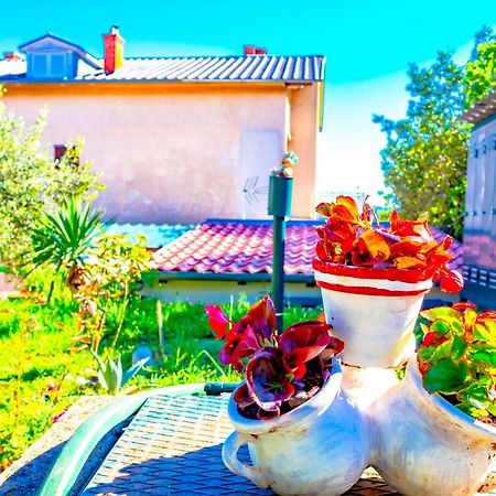 Vacation Home Grill & Chill With 350M2 Garden With Bbq Novi Vinodolski Luaran gambar
